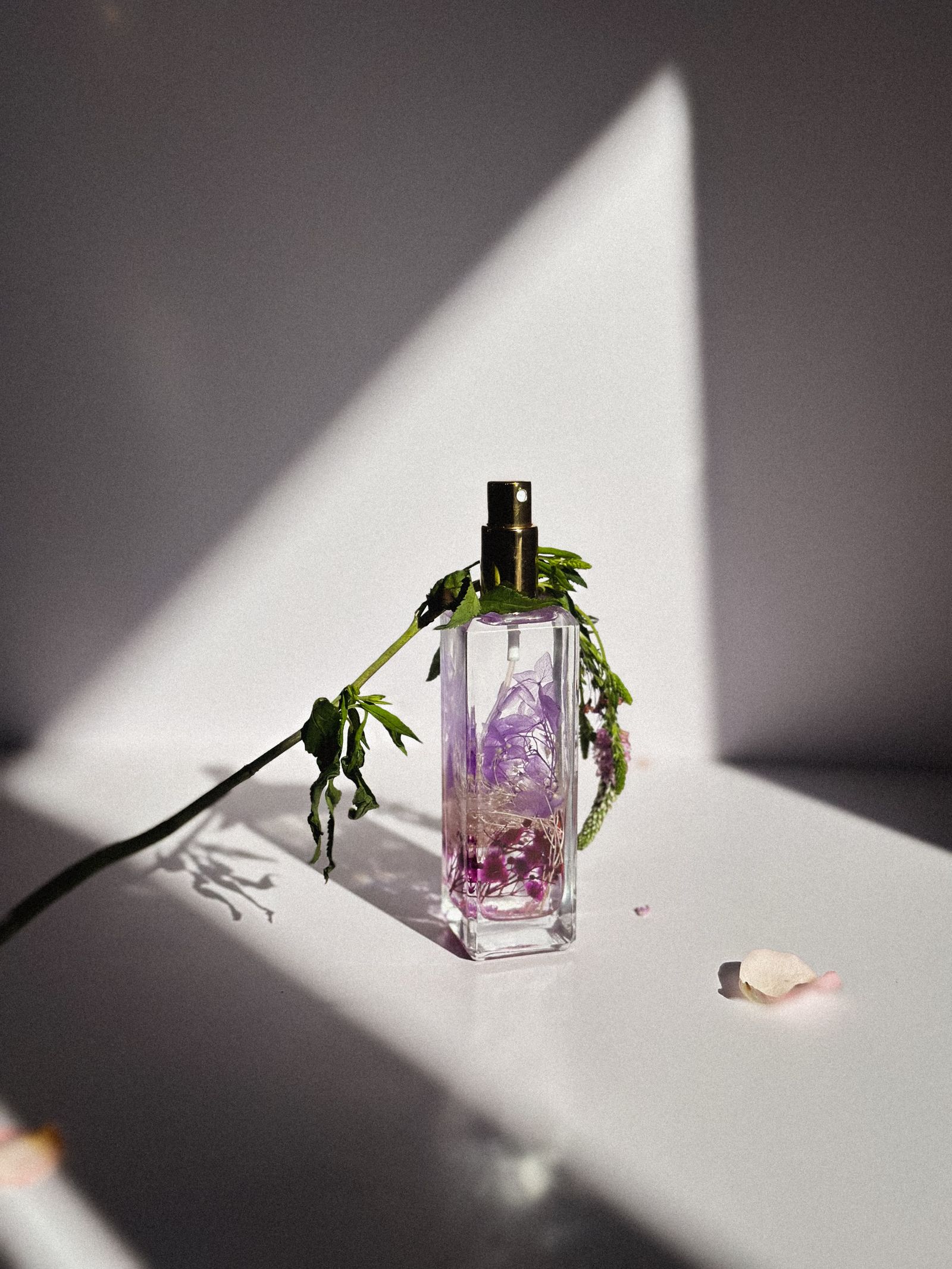 Caterina Parfume